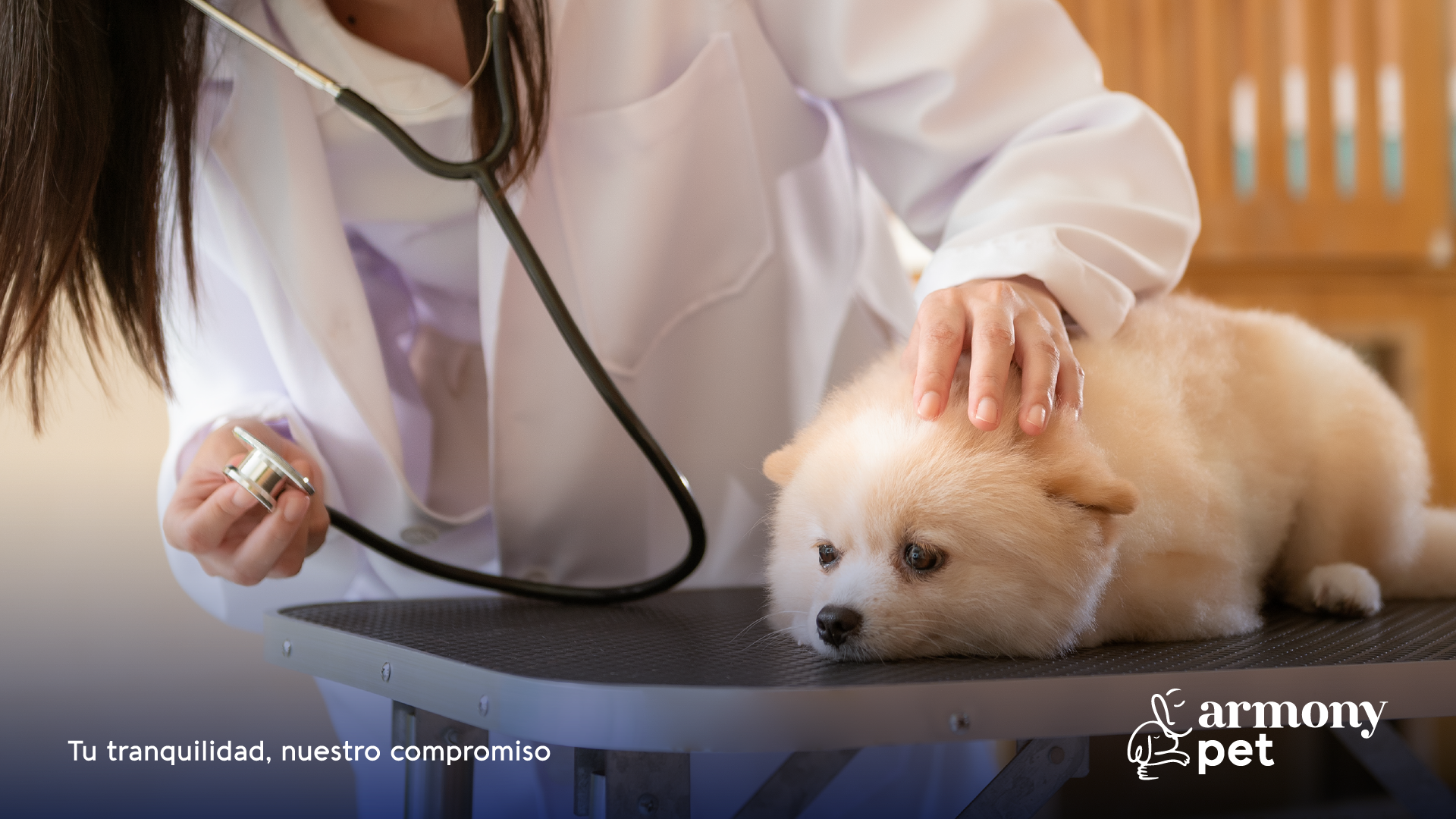 Qué vacunas y desparasitación necesita tu mascota